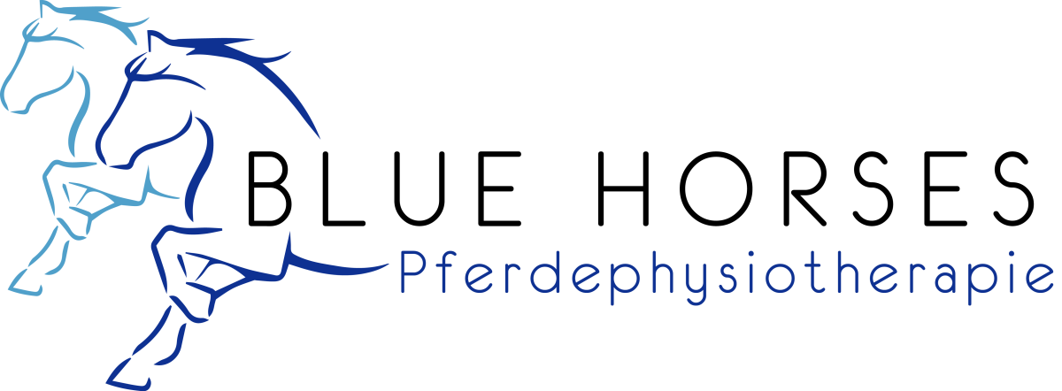 Blue Horses – Pferdephysiotherapie aus Essen Burgaltendorf